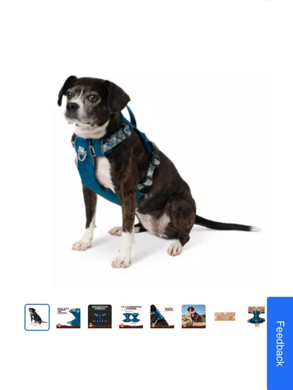 Lightweight teal outdoor Arcadia trail harness
